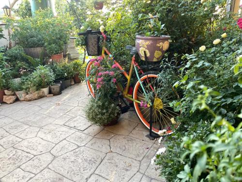 Kyperounta House | Vista Kyperounta - Family Mountain Getaway with Large Veranda