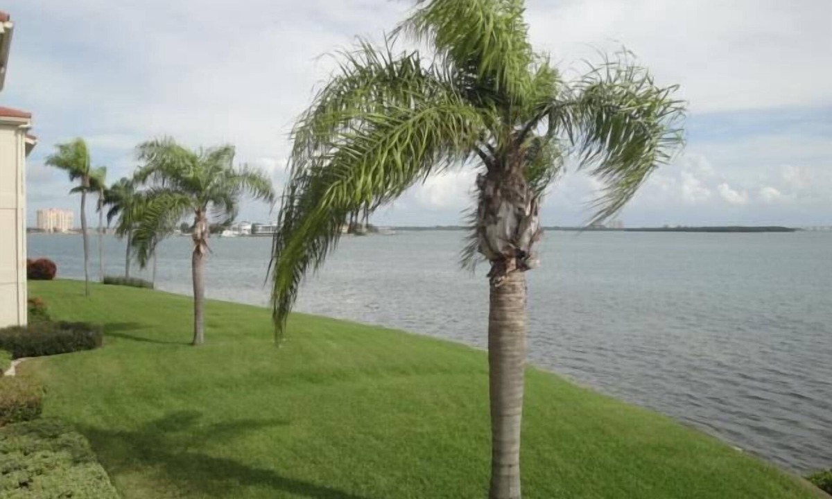Palma del Mar Villa | Waterfront 2BR condo in St. Petersburg with pool, hot tub & balcony.