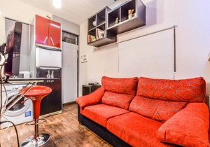 COMFORTABLE APARTMENT LAVAPIES in Lavapiés