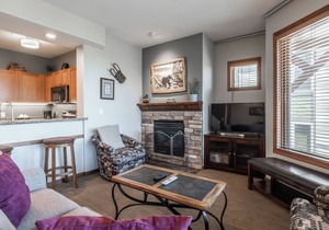 Eagle Run #204 - Luxury Ski-In Ski-Out/Slope-Side; 3 Bedroom in Mammoth Lakes
