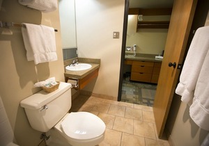 Iron Blosam Lodge, Snowbird in Snowbird in Snowbird