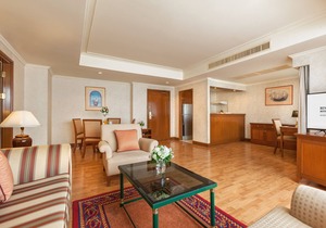 One Bedroom Grand Suite Apartment in the city center (G11)