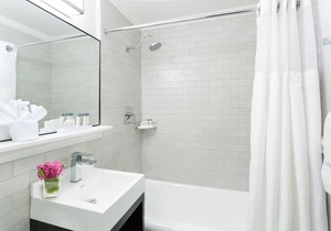 Spacious Downtown Room Close to Public Transports | Pets Are Allowed