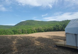 Tentrr State Park Site - Taconic State Park High Valley Rd Site F in Copake Falls