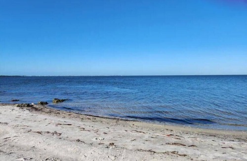 Historic Uptown Apartment | 2/2 in the heart of St Pete!