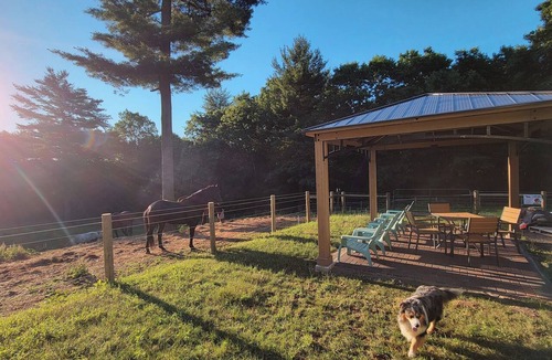 Belchertown Apartment | Serene 1-bedroom suite on 75 acre horse property