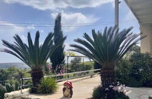 Lofou House | Sto Katifori in Lofou Village