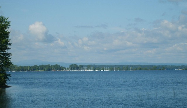 2-waterfront cottages together sleep10+ and have no other house in sight PRIVACY in North hero