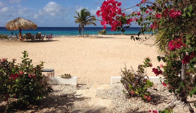 Affordable Oceanfront Vacation At Its Best