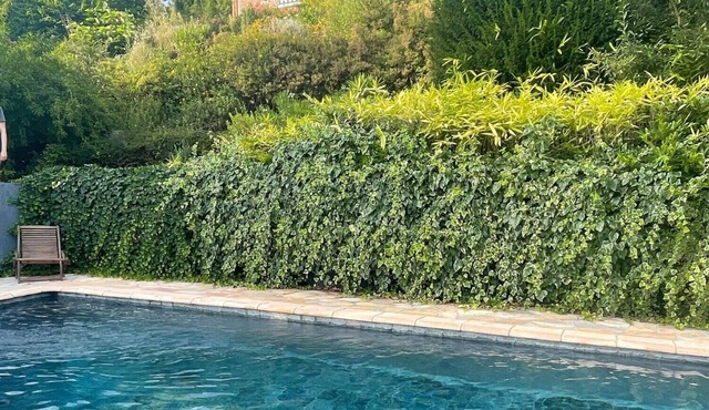 ARCHITECT DESIGNED HOME WITH STUNNING PANORAMIC VIEW AND SWIMMING POOL in Chavornay