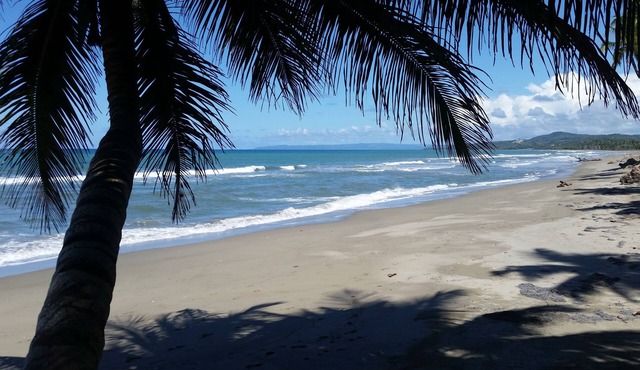 Authentic Beachfront Caribbean Hideaway-Crashing Surf, Palms, & Tradewinds! in Las Canas