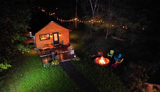 Bala Vida Cabin - Steps to Lake Muskoka w/pond, fire pit & cedar barrel sauna ✌🏼 in Bala