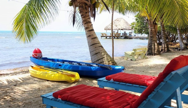 Beachfront surrounded by lush natural jungle. Snorkle from shore manatee watch in Monkey river village