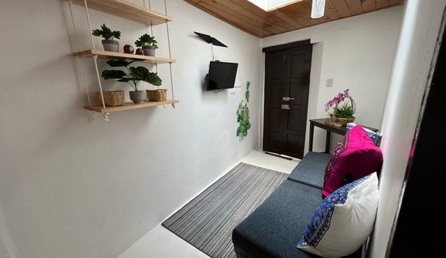 Casa Petra esta en el centro de San Cristobal donde caben hasta 4 personas. in San Cristóbal de las Casas