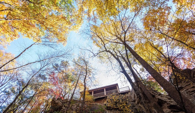 Castle Cliff Riverfront Cottage Peaceful Private Less than15 min to Harrisonburg in Hinton