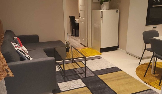 Charming 1-bedroom apartment in nice Akershus with WiFi, AC at Hanaborg train s.