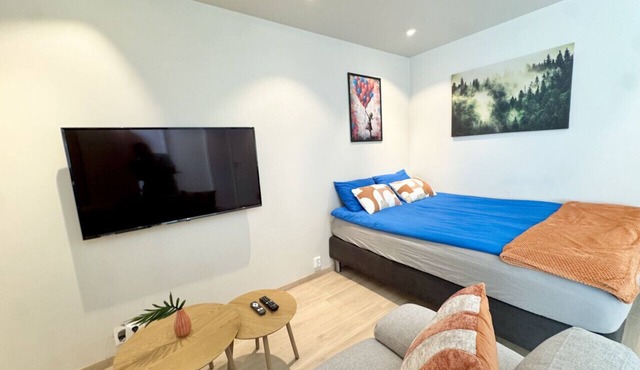 Chic and Modern Studio - Central