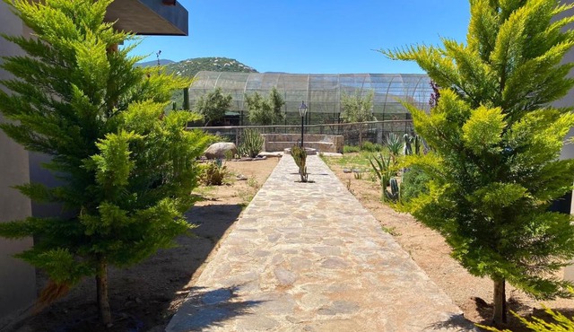 Coquenas del Valle