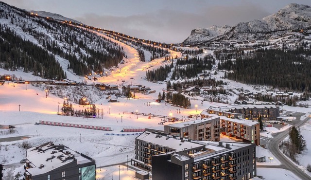 Cozy apartment in Hemsedal with sauna