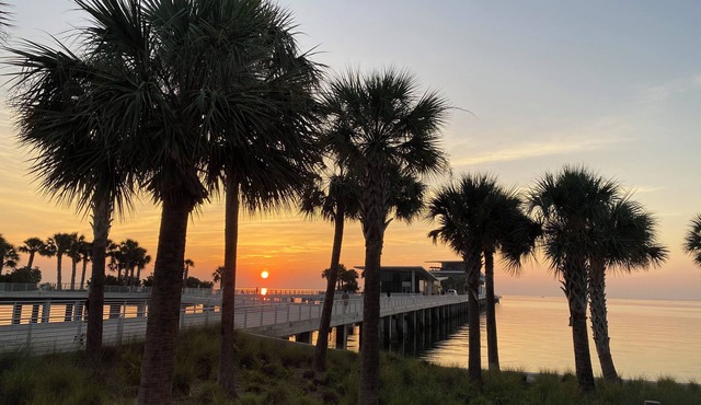 Cozy Downtown Retreat in St Pete near public transit lines.