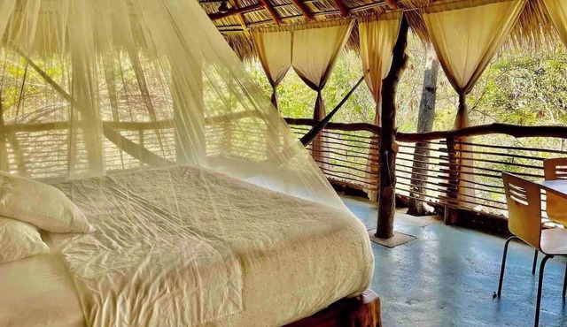 Devine virgin bay New tree house pvt/room palapa