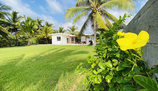 Dwell Ubilam - Beachfront House at Saladita Beach