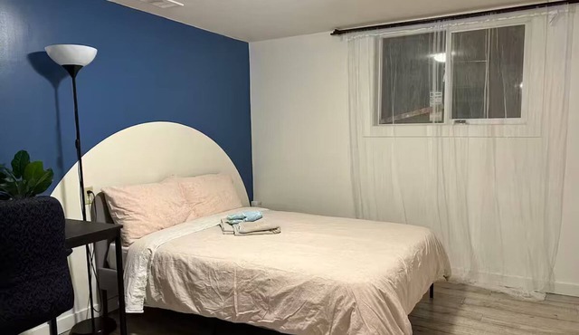 Entire 2 BDRM basement, walkable to downtown. in Calgary