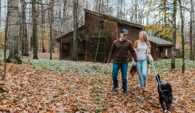 Finnwood - A Pet Friendly Woodland Retreat