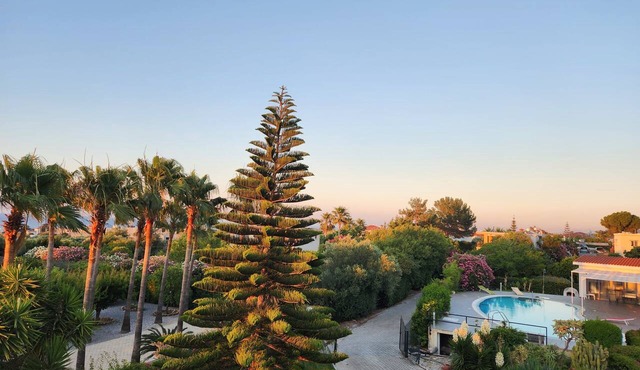 Hidden Gem in Lapta with Pool, Sea & Mountain View