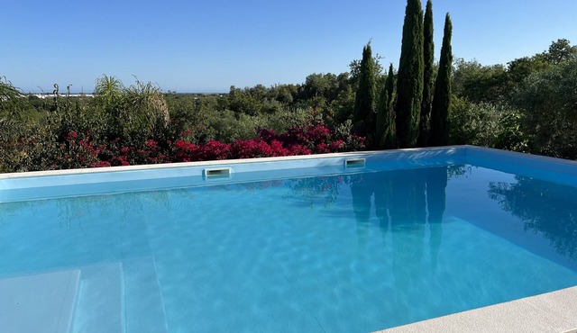 Hidden Gem with complete privacy. in Santo Estevao