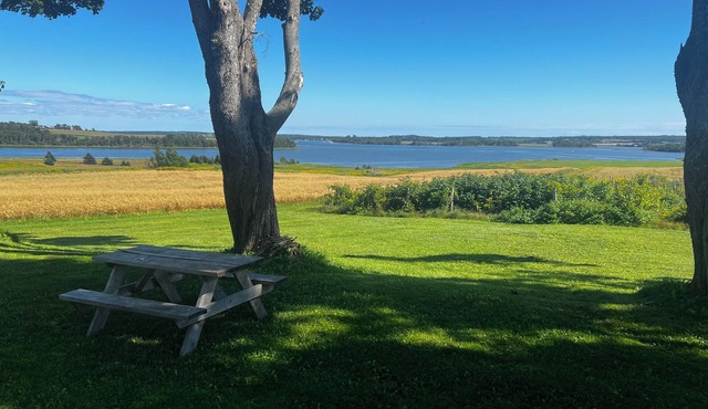 Historic 4-bedroom farm and vineyard on 100 acres with waterfront in Clyde River