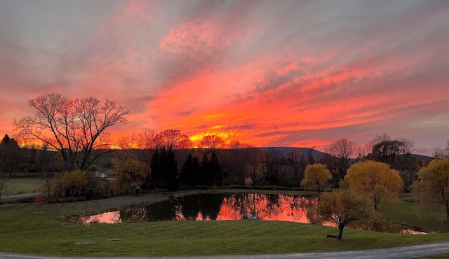 Hudson Valley Modern 5 BR Farmhouse with Pond and Stunning Sunsets in Pine Plains