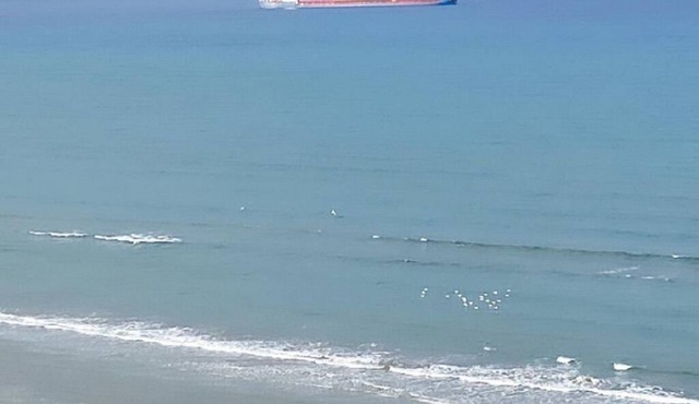Larnaca Room, 50m to the Finikoudes beach