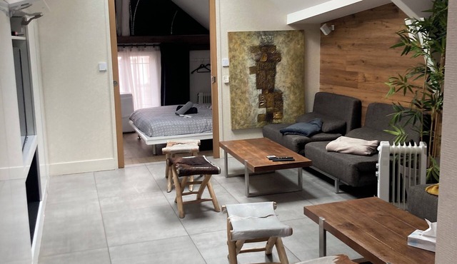 LE COCON DE NOTRE DAME "LOFT" apartment 140M2