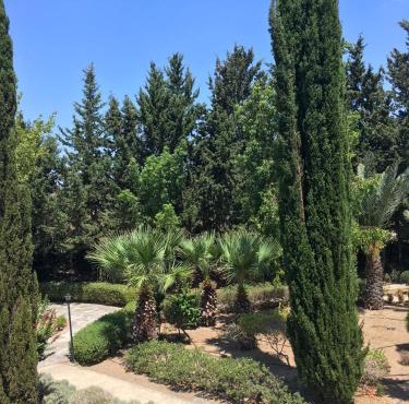 Limnaria Villas Kato Paphos - wonderful villa near the beach and all facilities