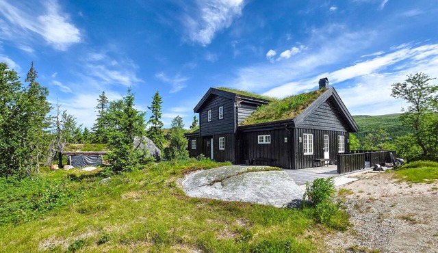 Lovely home in Eggedal with sauna