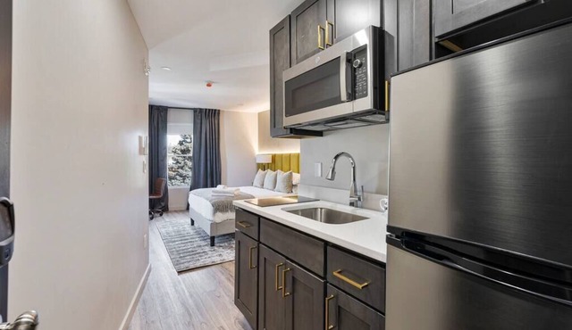 Luminous Studio: Vibrant Living Experience