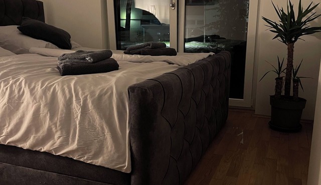 Luxury City Apartment in Munich