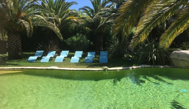 Magnificent Provencal house with private pool and waterfall in the Gulf of St Tropez