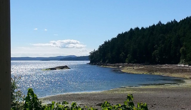 Oceanfront and Poolside, this 2 Bedroom is AMAZING in Ladysmith