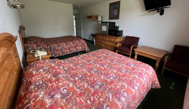 Petite Queen + Full Basic Room with Free Breakfast in Red Bud