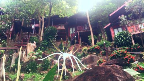 Phi Phi Green Hill Resort in Phi Phi Islands