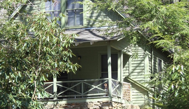 Rustic Mountain Joy in 1914 Cabin in Black Mountain