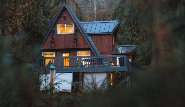 Secluded Forest Cabin w/Hot Tub & Private Waterfall