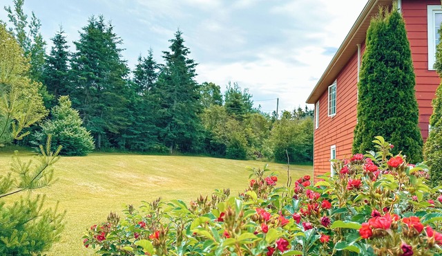 Spacious 1BR Suite, Near Charlottetown, PEI in North Wiltshire