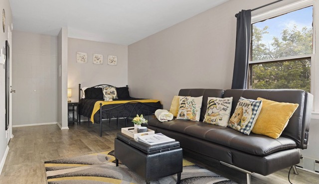 Spacious Studio Apt/Sleeps 2/Extendedstays/Work or Vacation/FREE Wifi & Parking in Aurora