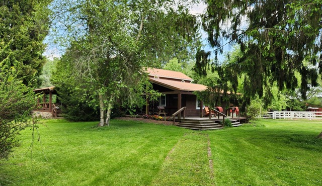 Spacious working horse farm, THE GALLOPING INN, where you can relax and unwind. in Spring Creek