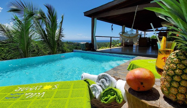 Spectacular view! Luxury retreat! in Las Terrenas
