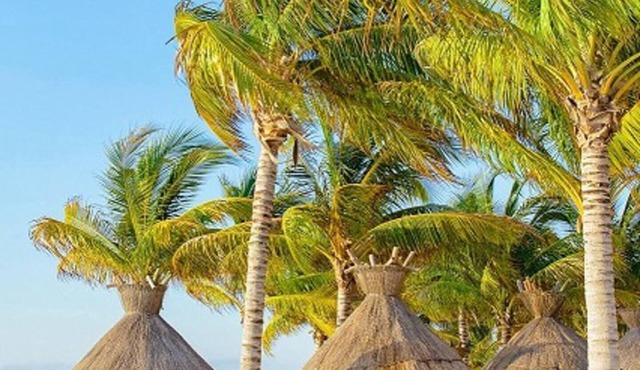 Studio Villa del Palmar Cancunnn in Cancún