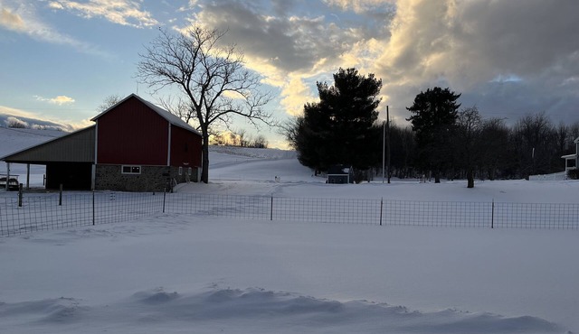 Studio w/kitchen on Alpaca farm Sodus Bay, Wine trails & Brantling ski slope in Sodus